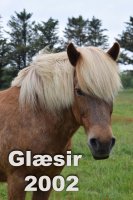 Glaesir.jpg