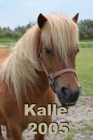 Kalle.jpg