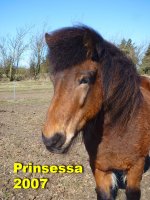 Prinsessa_2007.jpg